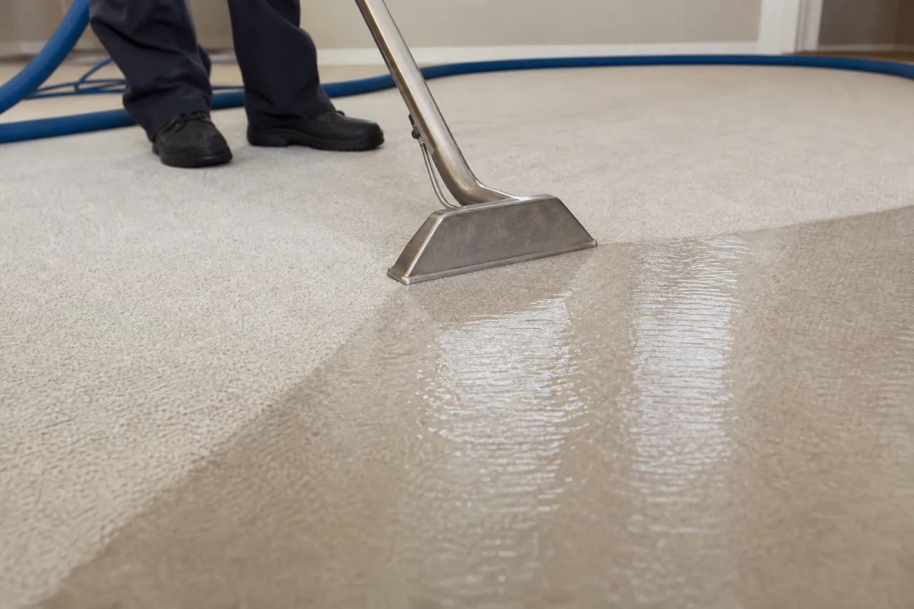 Commercial wet-vac wand extracting water from carpet